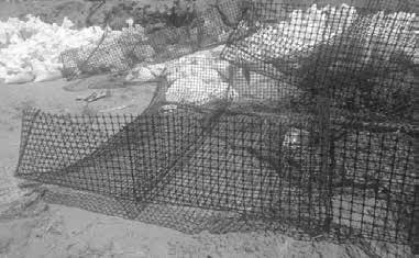 Ứng dụng rọ đá vỏ lưới nhựa chống xói bờ kè trong môi trường xâm thực