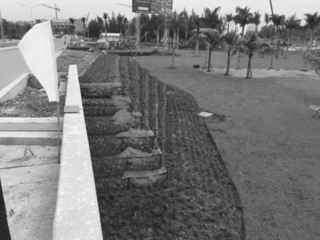 Ứng dụng rọ đá vỏ lưới nhựa chống xói bờ kè trong môi trường xâm thực