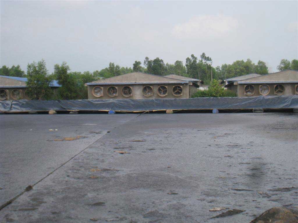 Thi công hầm Biogas HDPE