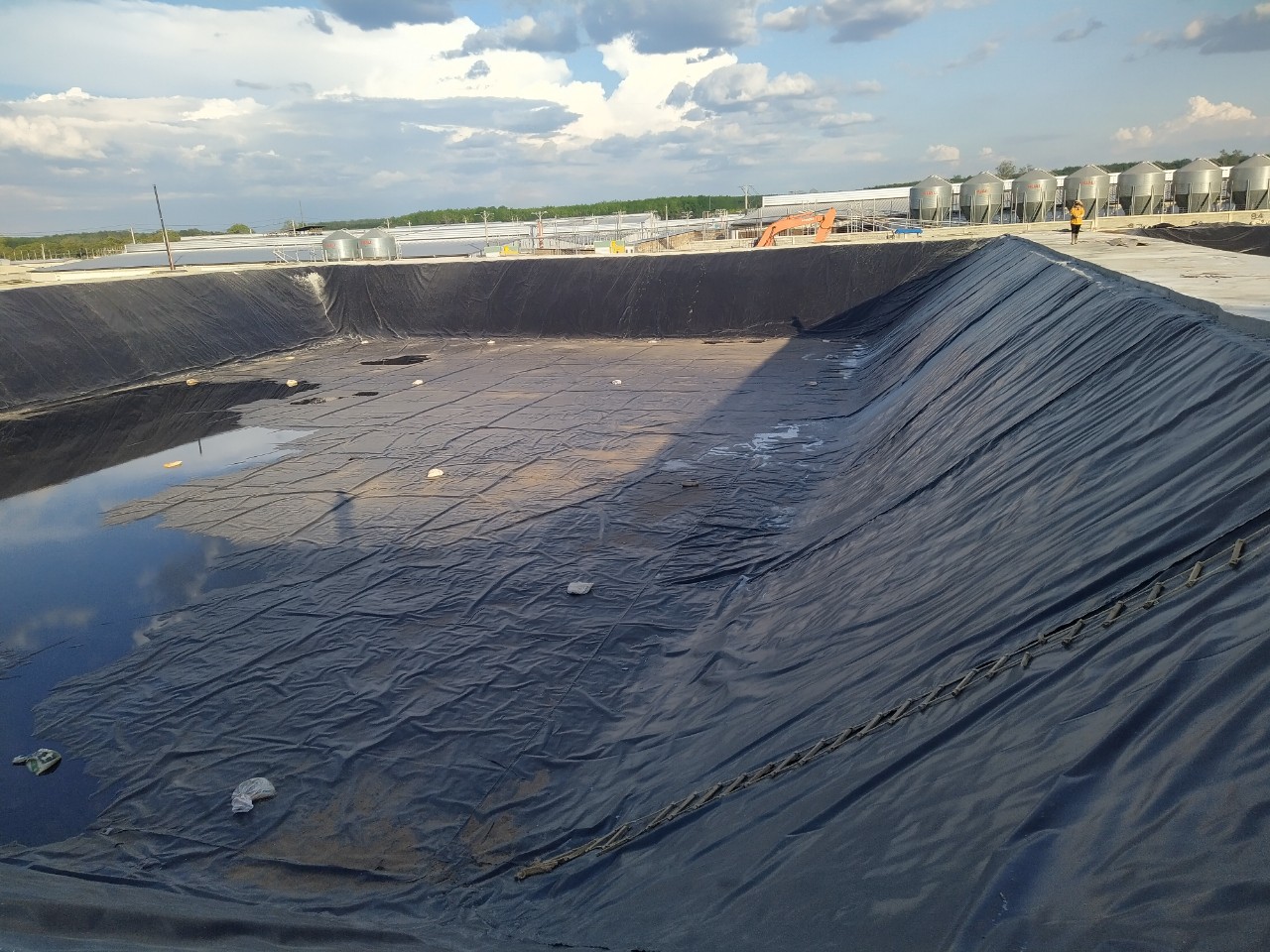 Phát triển bền vững